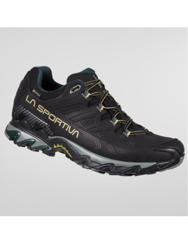 ULTRA RAPTOR II LEATHER WIDE GTX