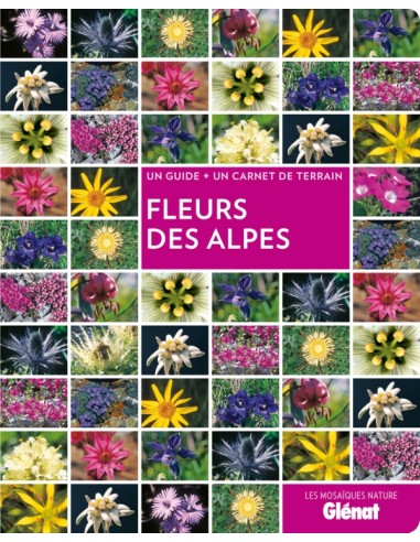 FLEURS DES ALPES