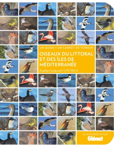 OISEAUX DU LITTORAL ET DES ILES DE MEDITERRANEE